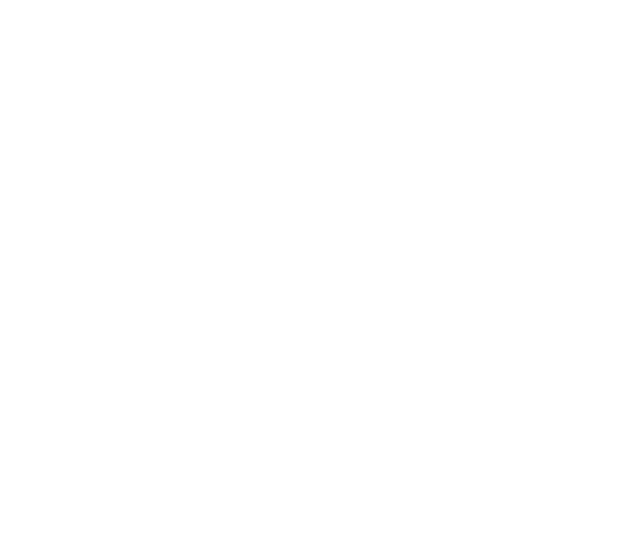 Chambers Top Ranked - Litigation Support