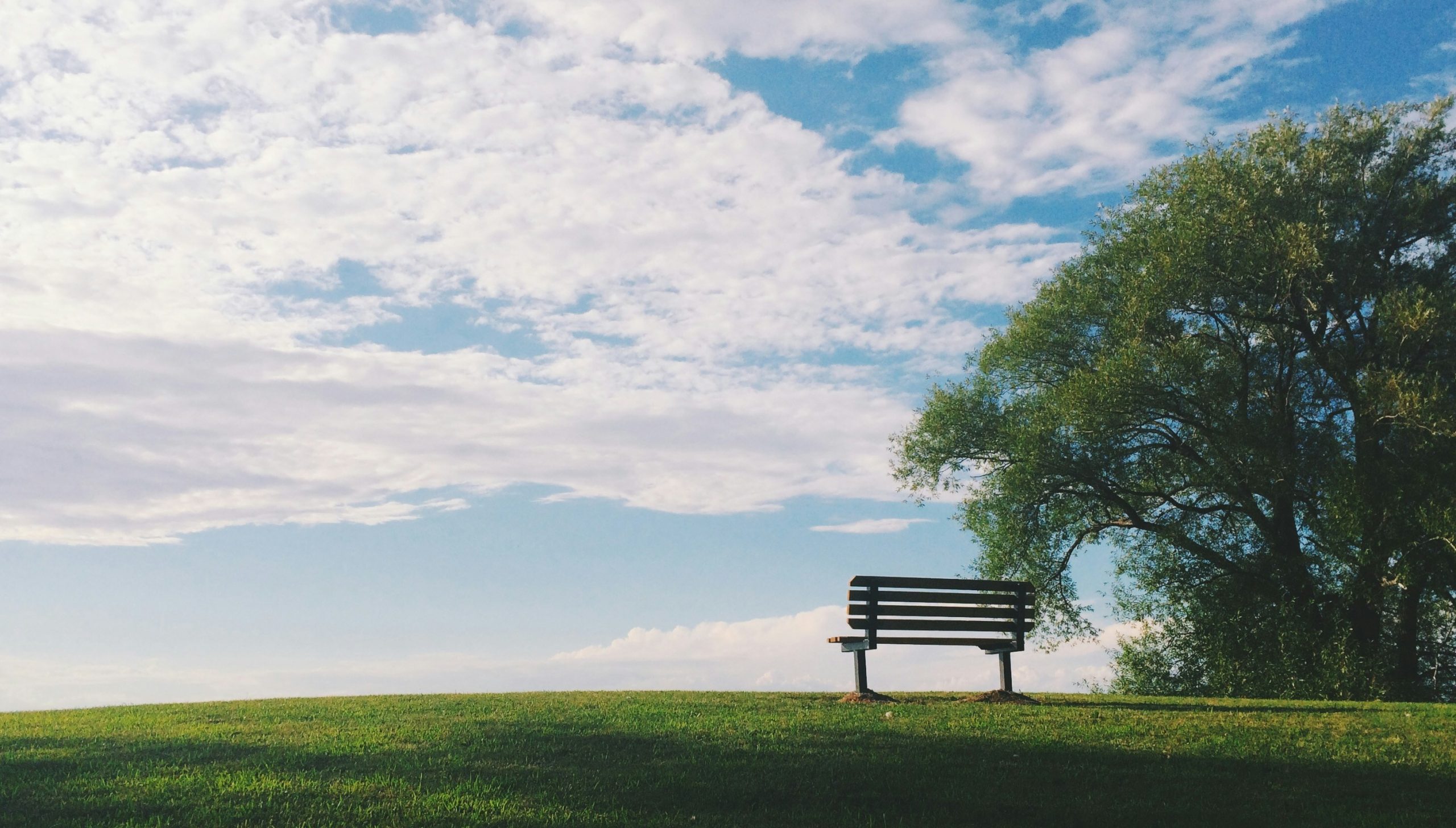Empty wooden bench overlooking a peaceful green landscape beneath a blue sky, representing reflection and remembrance for a guide to funeral costs in the UK.